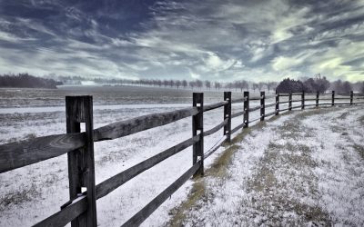 Newsmaker | Winter 2022